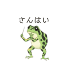 若干煽りがちなヤドクガエル（個別スタンプ：25）