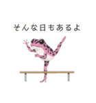 若干煽りがちなヤドクガエル（個別スタンプ：31）