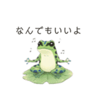 若干煽りがちなヤドクガエル（個別スタンプ：34）