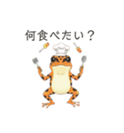 若干煽りがちなヤドクガエル（個別スタンプ：35）