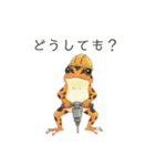 若干煽りがちなヤドクガエル（個別スタンプ：38）
