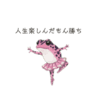 若干煽りがちなヤドクガエル（個別スタンプ：39）