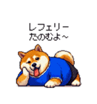 日本を応援するふとっちょ柴犬 サッカー（個別スタンプ：9）