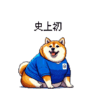 日本を応援するふとっちょ柴犬 サッカー（個別スタンプ：15）