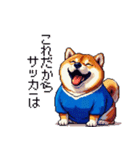 日本を応援するふとっちょ柴犬 サッカー（個別スタンプ：24）