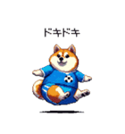 日本を応援するふとっちょ柴犬 サッカー（個別スタンプ：33）