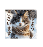 書き込める♥賀正・クリスマス・猫フレーム（個別スタンプ：2）