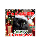 書き込める♥賀正・クリスマス・猫フレーム（個別スタンプ：3）