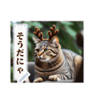 書き込める♥賀正・クリスマス・猫フレーム（個別スタンプ：4）