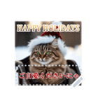 書き込める♥賀正・クリスマス・猫フレーム（個別スタンプ：6）