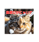 書き込める♥賀正・クリスマス・猫フレーム（個別スタンプ：12）
