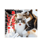 書き込める♥賀正・クリスマス・猫フレーム（個別スタンプ：14）