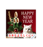 書き込める♥賀正・クリスマス・猫フレーム（個別スタンプ：17）