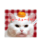 書き込める♥賀正・クリスマス・猫フレーム（個別スタンプ：21）