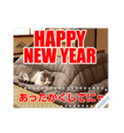 書き込める♥賀正・クリスマス・猫フレーム（個別スタンプ：22）