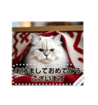 書き込める♥賀正・クリスマス・猫フレーム（個別スタンプ：24）