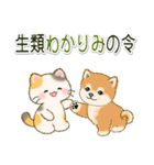 ちびころにゃんのダジャレスタンプ（個別スタンプ：19）