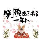コーギー子犬のお正月スタンプ♡笑顔で2026（個別スタンプ：10）
