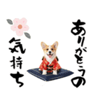コーギー子犬のお正月スタンプ♡笑顔で2026（個別スタンプ：13）