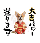 コーギー子犬のお正月スタンプ♡笑顔で2026（個別スタンプ：19）