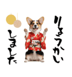 コーギー子犬のお正月スタンプ♡笑顔で2026（個別スタンプ：20）