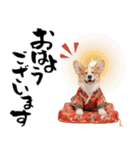 コーギー子犬のお正月スタンプ♡笑顔で2026（個別スタンプ：28）