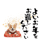 コーギー子犬のお正月スタンプ♡笑顔で2026（個別スタンプ：30）