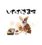 コーギー子犬のお正月スタンプ♡笑顔で2026（個別スタンプ：33）