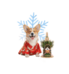 コーギー子犬のお正月スタンプ♡笑顔で2026（個別スタンプ：38）