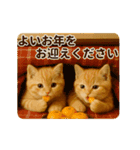 毎年使える♡あけおめネコ（個別スタンプ：8）