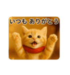 毎年使える♡あけおめネコ（個別スタンプ：11）