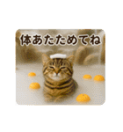 毎年使える♡あけおめネコ（個別スタンプ：19）