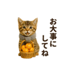 毎年使える♡あけおめネコ（個別スタンプ：24）