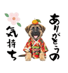 シェパード子犬のお正月スタンプ❗️（個別スタンプ：13）