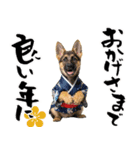 シェパード子犬のお正月スタンプ❗️（個別スタンプ：15）