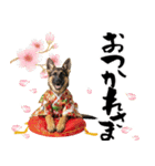 シェパード子犬のお正月スタンプ❗️（個別スタンプ：21）