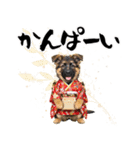 シェパード子犬のお正月スタンプ❗️（個別スタンプ：22）