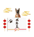 シェパード子犬のお正月スタンプ❗️（個別スタンプ：26）