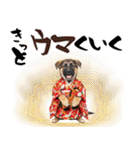 シェパード子犬のお正月スタンプ❗️（個別スタンプ：27）