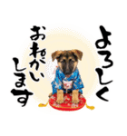 シェパード子犬のお正月スタンプ❗️（個別スタンプ：29）