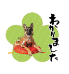 シェパード子犬のお正月スタンプ❗️（個別スタンプ：31）