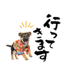 シェパード子犬のお正月スタンプ❗️（個別スタンプ：35）