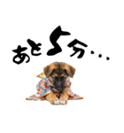 シェパード子犬のお正月スタンプ❗️（個別スタンプ：36）