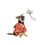 シェパード子犬のお正月スタンプ❗️（個別スタンプ：37）