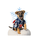 シェパード子犬のお正月スタンプ❗️（個別スタンプ：38）