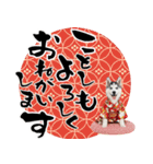 ハスキー子犬のお正月スタンプ❄️2026（個別スタンプ：2）