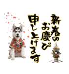 ハスキー子犬のお正月スタンプ❄️2026（個別スタンプ：6）
