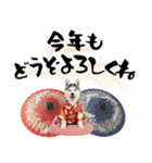 ハスキー子犬のお正月スタンプ❄️2026（個別スタンプ：9）