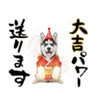 ハスキー子犬のお正月スタンプ❄️2026（個別スタンプ：19）