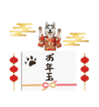 ハスキー子犬のお正月スタンプ❄️2026（個別スタンプ：26）